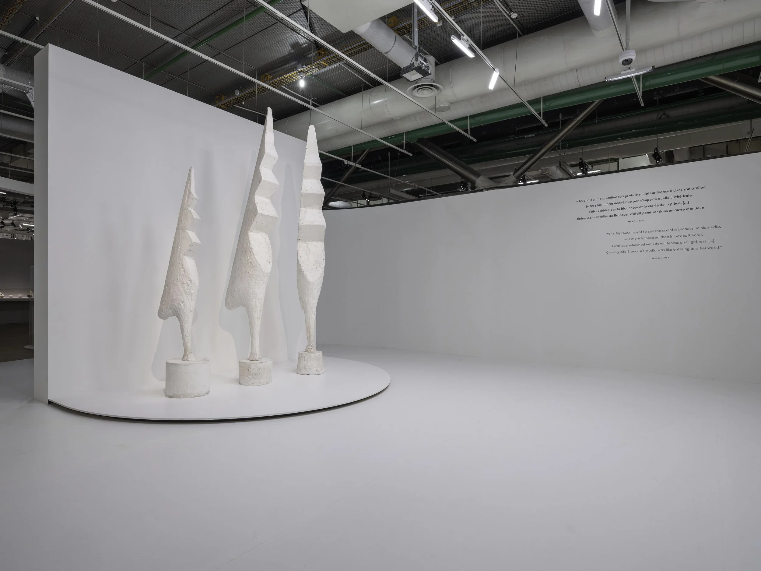Brancusi at the Centre Pompidou — Art of The Ancestors | Island